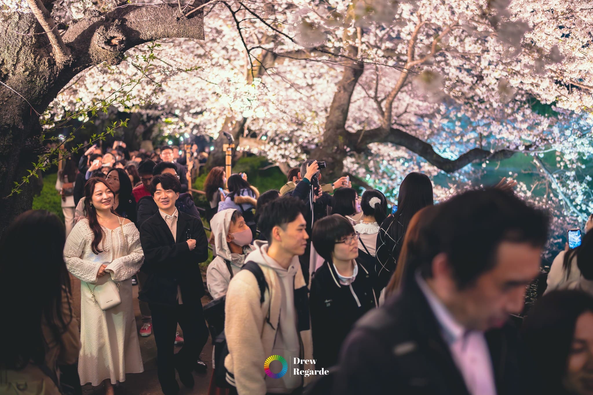 Chidorigafuchi at Night — Chidorigafuchi, Tokyo by Drew Regarde