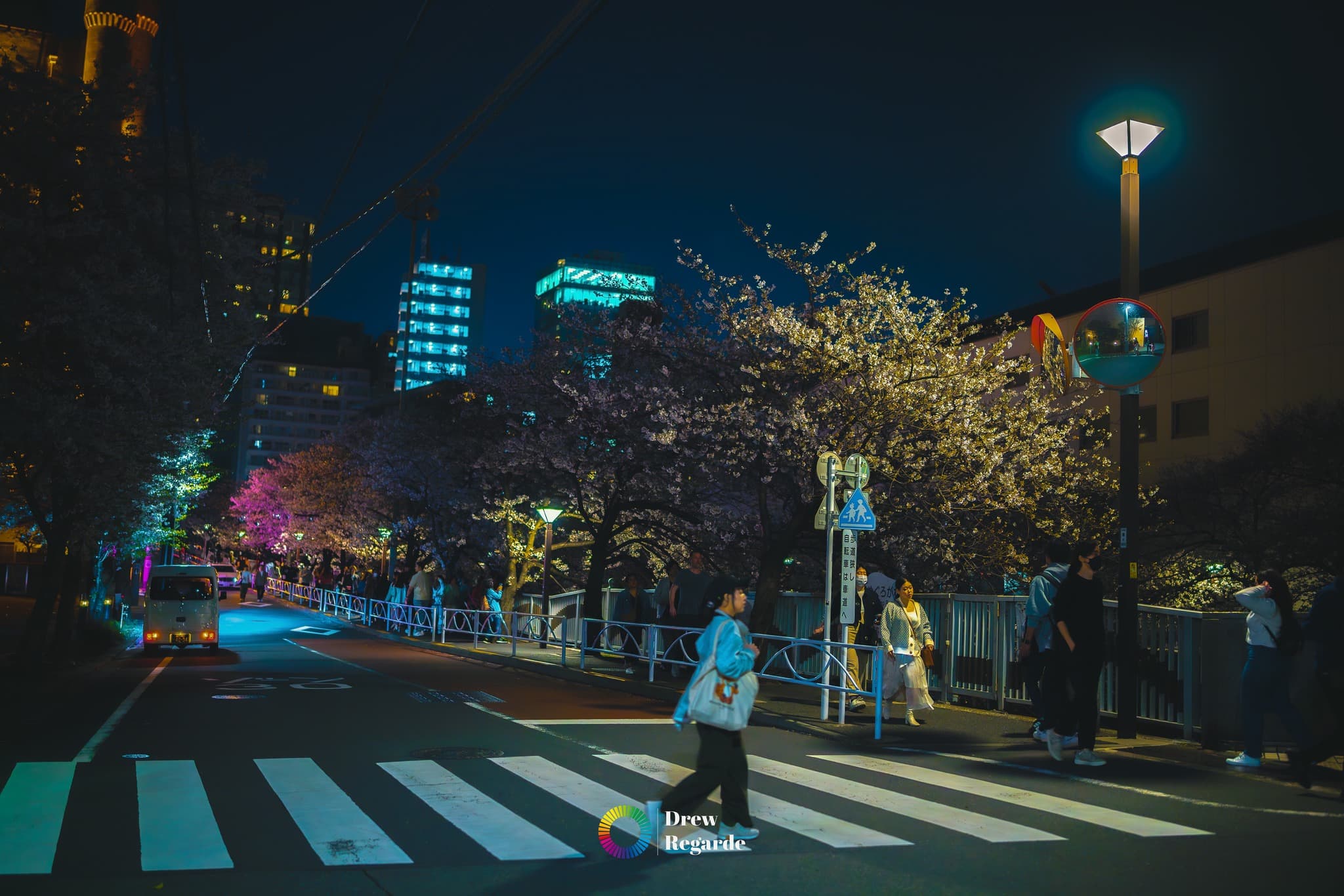 Meguro River in Bloom — Nakameguro, Tokyo by Drew Regarde