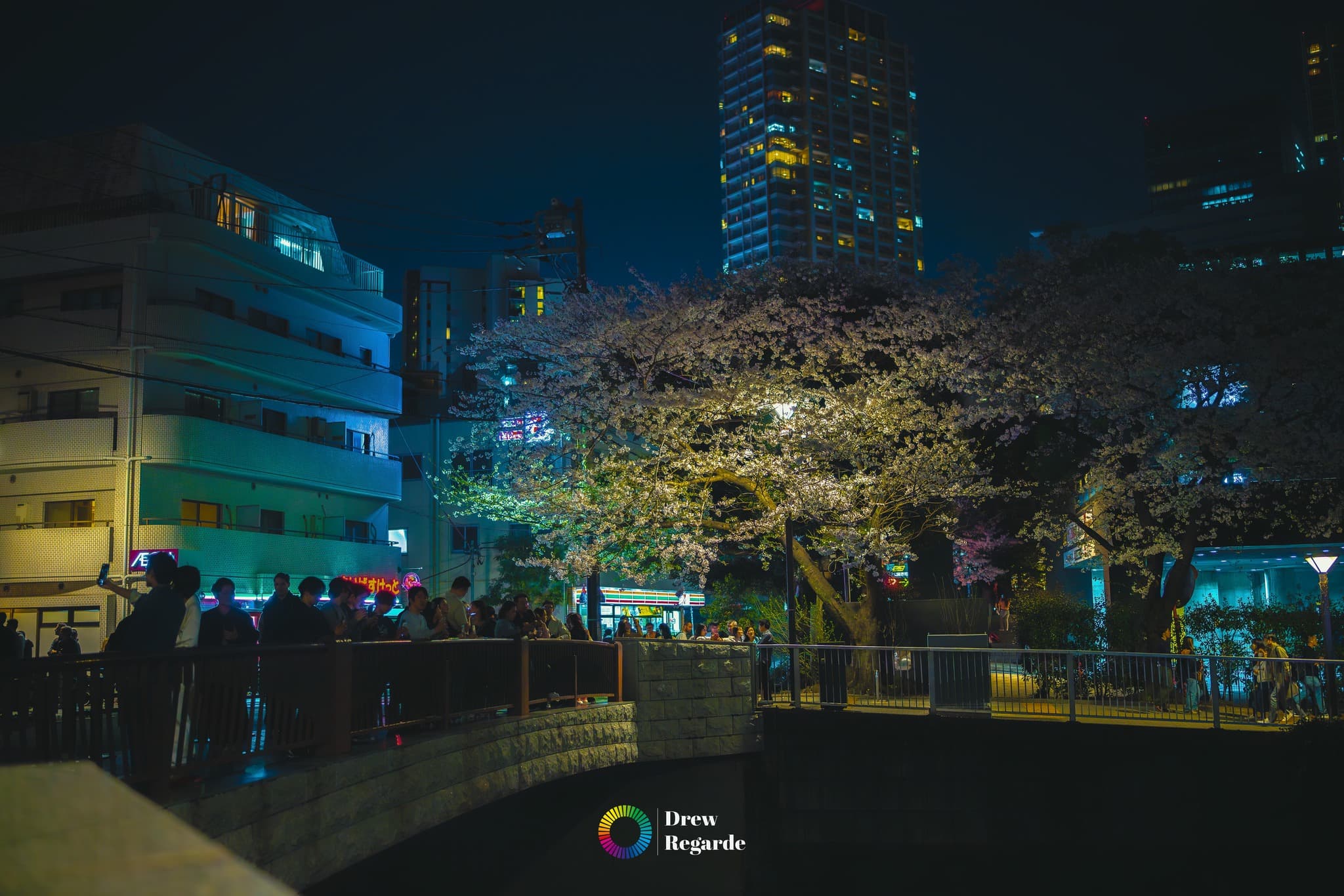 Meguro River in Bloom — Nakameguro, Tokyo by Drew Regarde